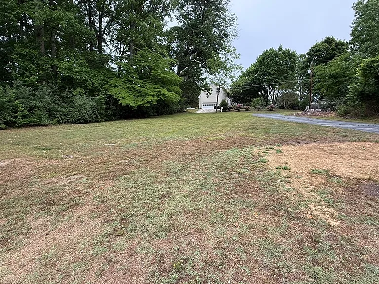 back yard