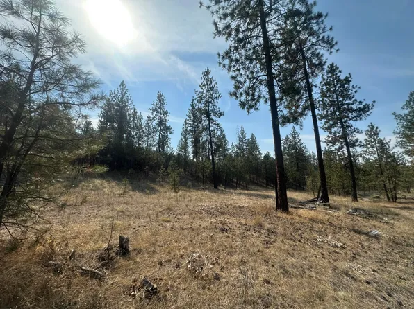 5699 Highway 231 Hwy #C, Ford, WA 99013