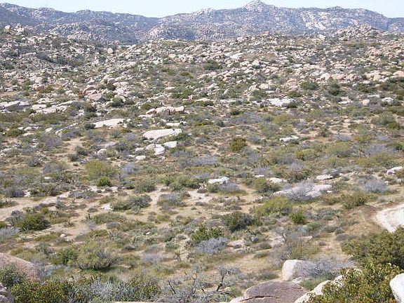 4th image of 43300 Old Highway 80