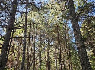 10739 County Road 103, Mentone, AL 35984