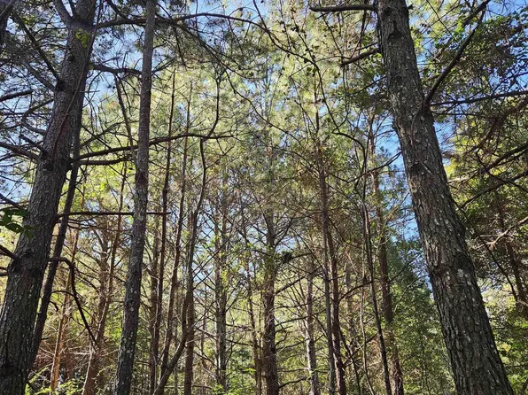 10739 County Road 103, Mentone, AL 35984