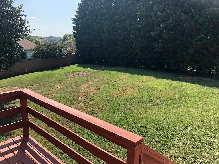 Deck and back yard