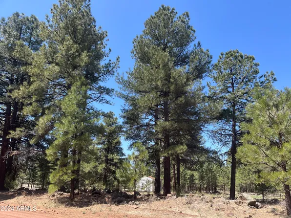 138 S KAIBAB Lot 33 Avenue N #33, Parks, AZ 86018