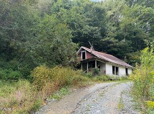 380 Crabtree Rd, Roan Mountain, TN 37687