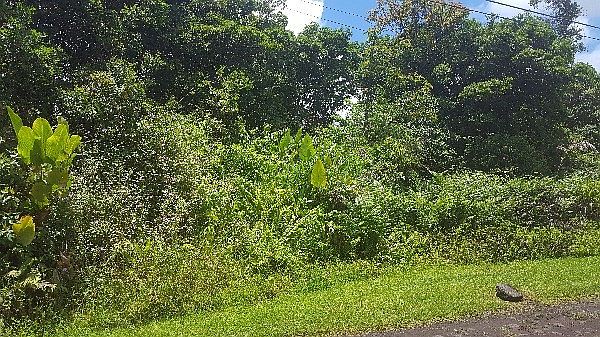 2nd image of Malama St