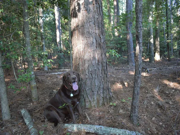 (undisclosed Address), Strong, AR 71765