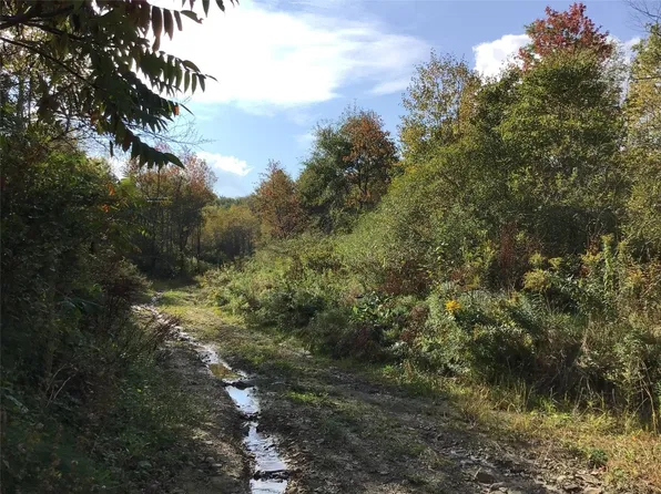 0 State Highway 235, Harpursville, NY 13787