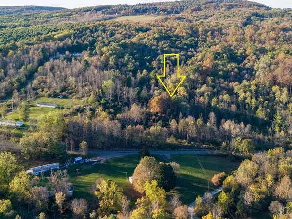 0 Murray Creek Rd, Athens, PA 18810