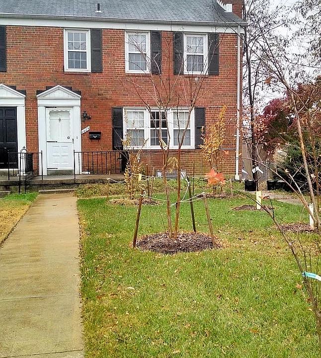 1st image of 1425 E Joppa Rd