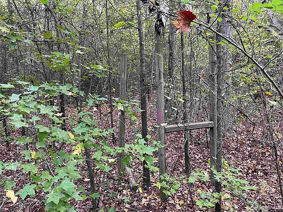 2nd image of Off Of Cres #4106