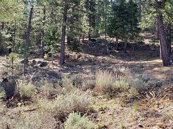 2nd image of 15653 Donnington Ln