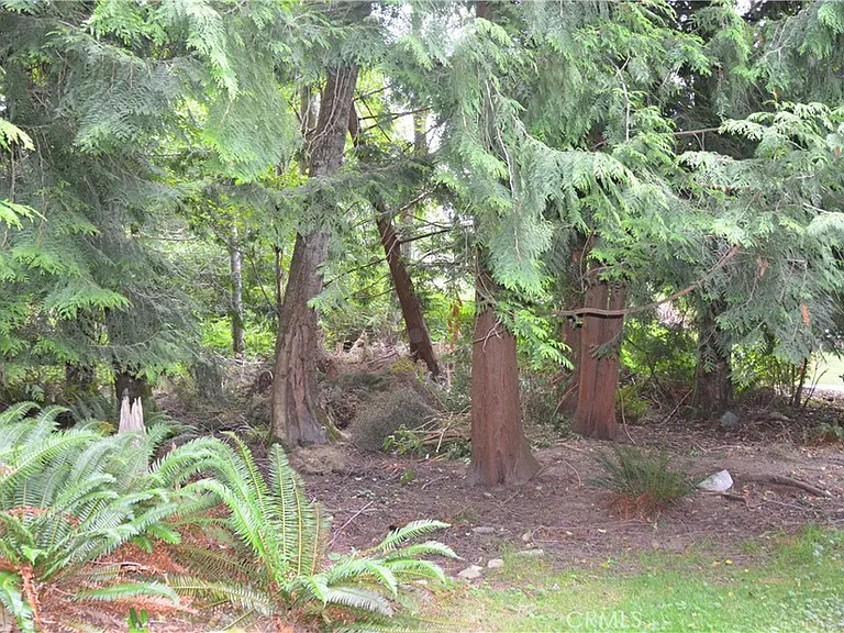 3700 Beazer Rd — Photo 4