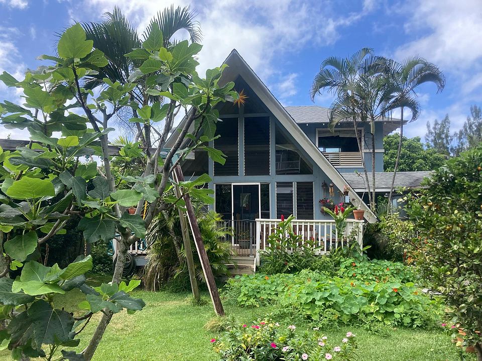Front yard with fig tree, calamansi, and dragon fruit.