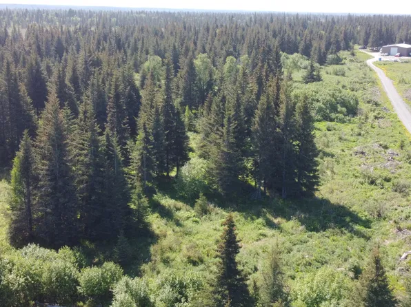 23808 Magoo St, Anchor Point, AK 99556