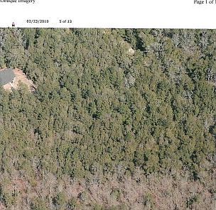 2nd image of 4966 McCombs Rd