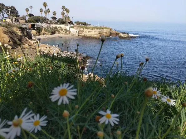 7811 Eads Ave Unit 108, La Jolla, CA 92037
