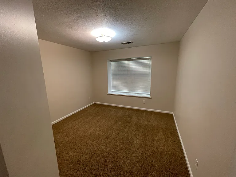 10715 Hickory Cove Ct — Photo 8
