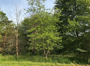 Campbellsport Rd, Ravenna, OH 44266