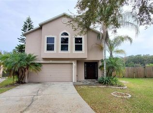 11341 Ivy Flower Loop, Riverview, FL 33578