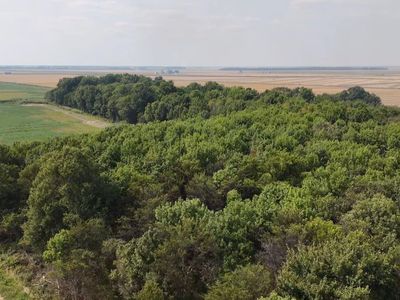 Green St #318, Paragould, AR, 72450