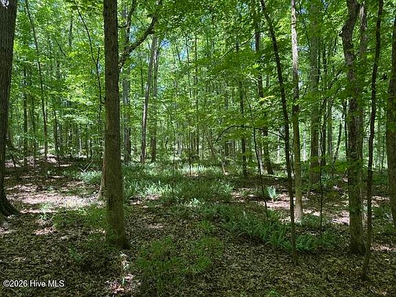 3rd image of 0 Kendricks Mill Road