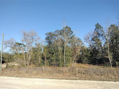 SE 136th Ave Lot 12, Morriston, FL, 32668