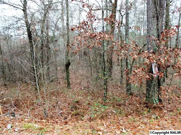 5 Quail Dr, Centre, AL 35960