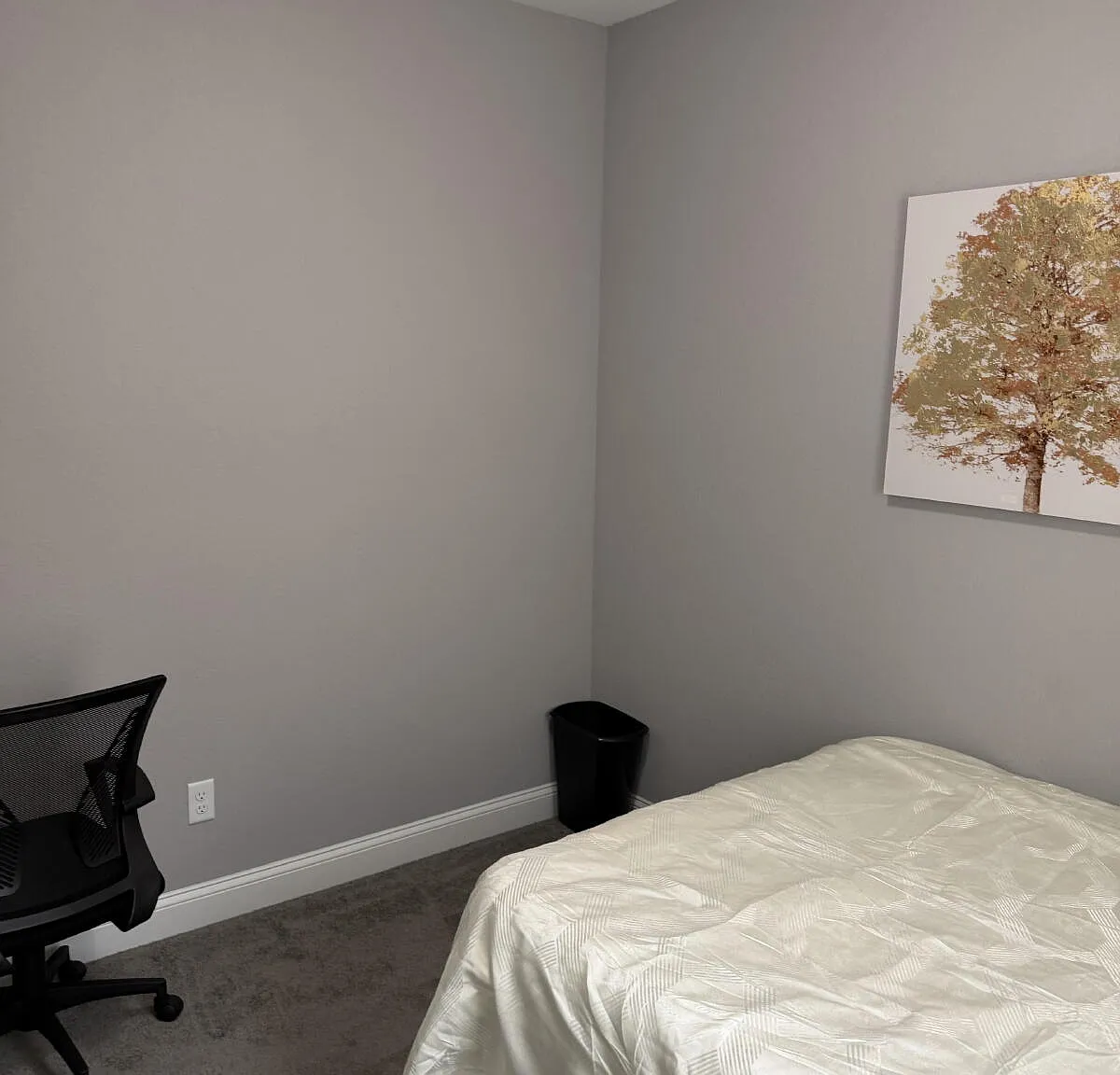1 bed, $900 — Photo 3