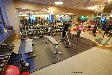 Rented by Luxury Habitat