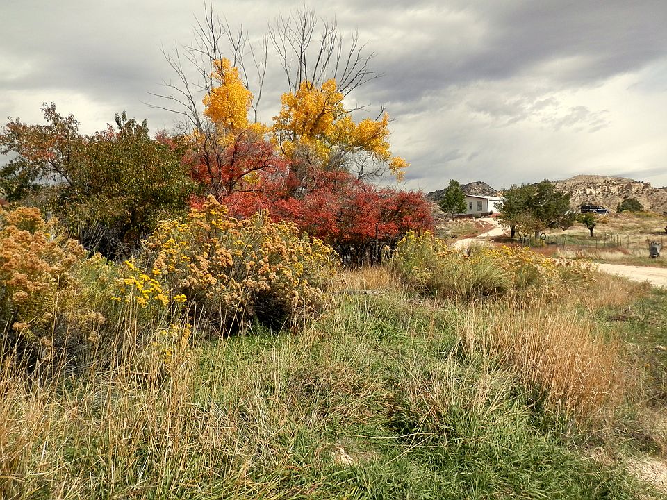 1st image of 549 Oakline Dr