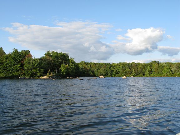 Pond View Shore Line