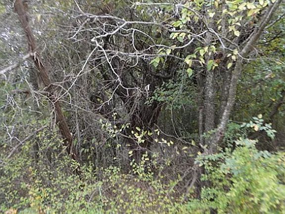 4th image of 15009 LITTLE WREN LN LOT 2