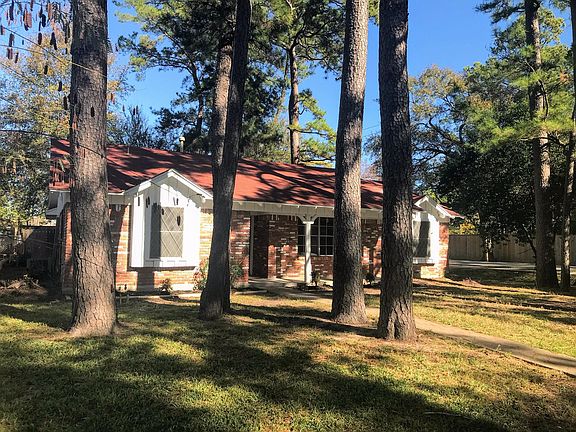 Beautiful tall pine trees welcome you home