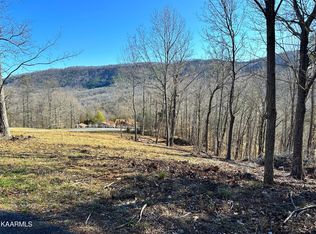 502 Stevia Rd #41-42, Cosby, TN 37722