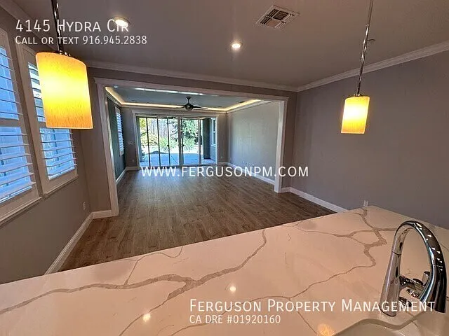 4145 Hydra Cir — Photo 4