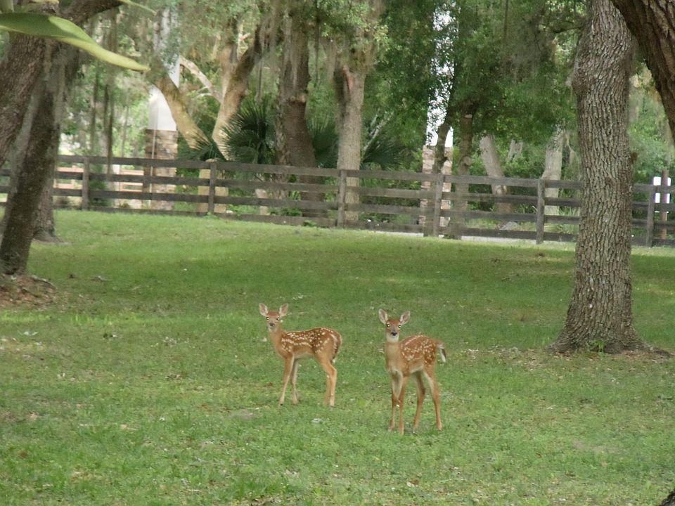 1st image of 7201 Myakka Valley Trl