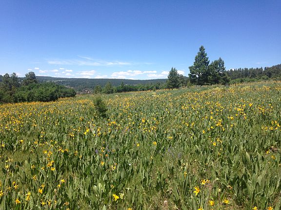 2nd image of Tbd Green Meadows Lane