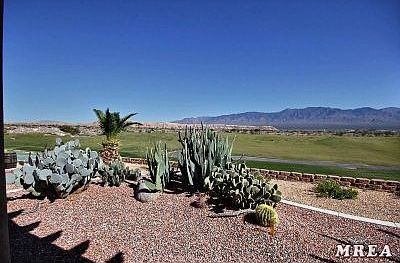 Back Yard and Panoramic View