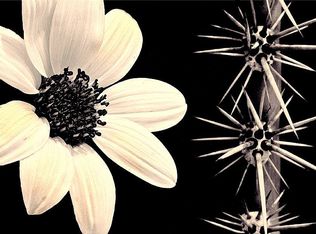 2203 E Spring St, Tucson, AZ 85719