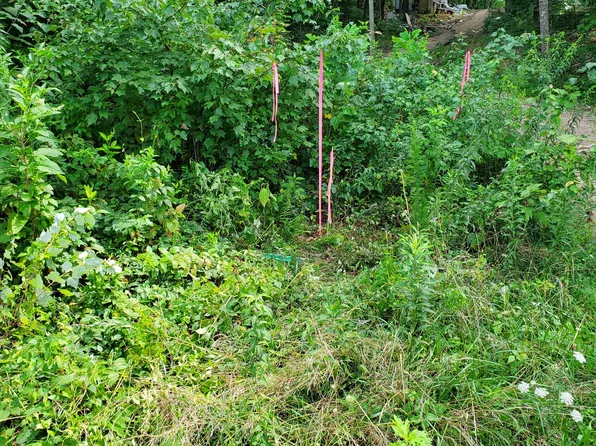 235 County Rd Lot 2, Niota, TN 37826