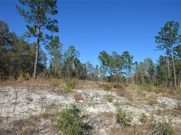 SW 144th Pl, Ocala, FL 34473