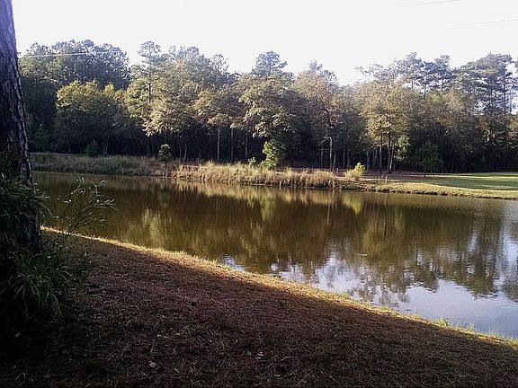 pondview