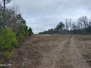 0 Dunn Rd, Chattahoochee, FL 32324