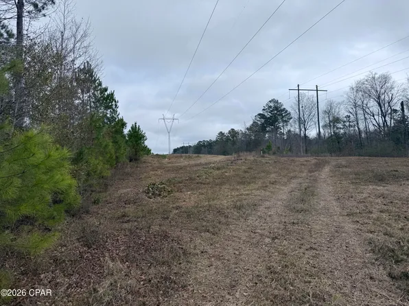 0 Dunn Rd, Chattahoochee, FL 32324