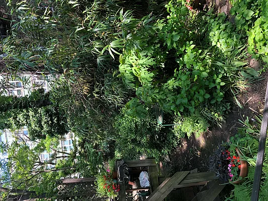 Rented by Downtown Realty Group LTD | media 49