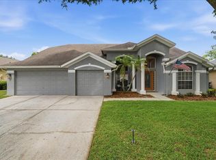4408 Winding River Dr, Valrico, FL 33596
