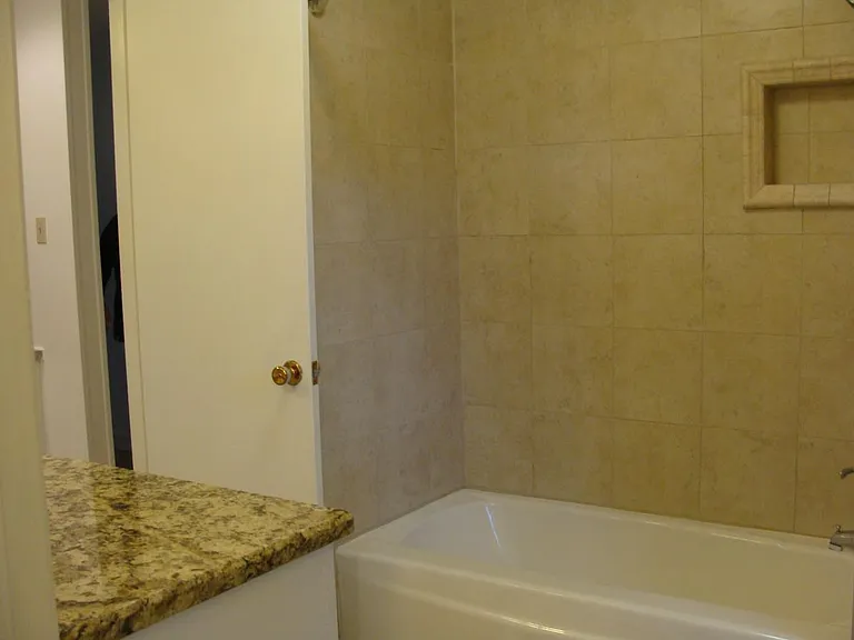 Main Bathtub/Shower
