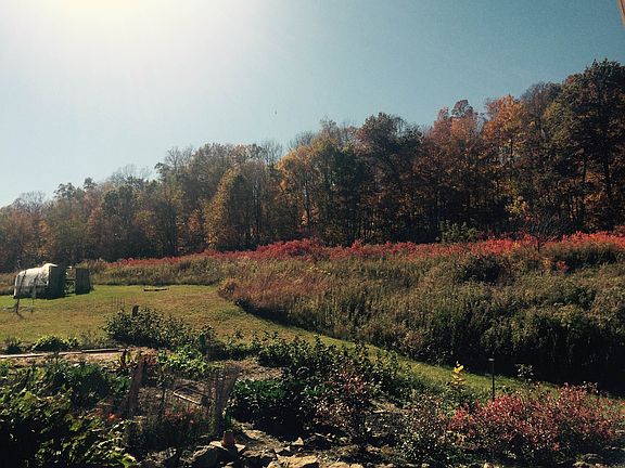 20 acres of hard wood forest