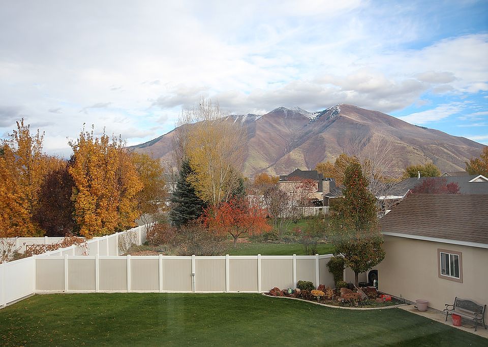 Rear South Bed View