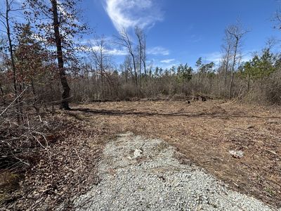 0 Highway 104, Saltillo, TN, 38370